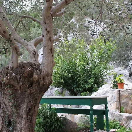 Tomas * تروغير