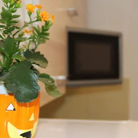 Tomas * تروغير