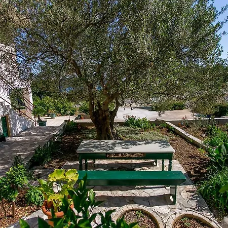 Apartman Tomas *