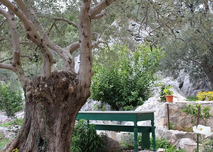 Tomas * 트로기르