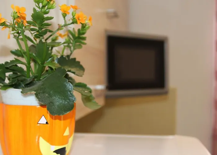 Tomas * 트로기르